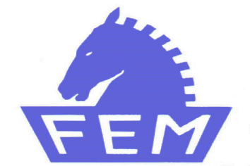 logo fem